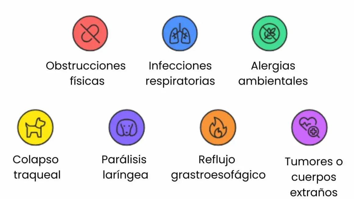 Causas de tos en perros: obstrucciones, infecciones, alergias, colapso traqueal, parálisis laríngea, reflujo y tumores.