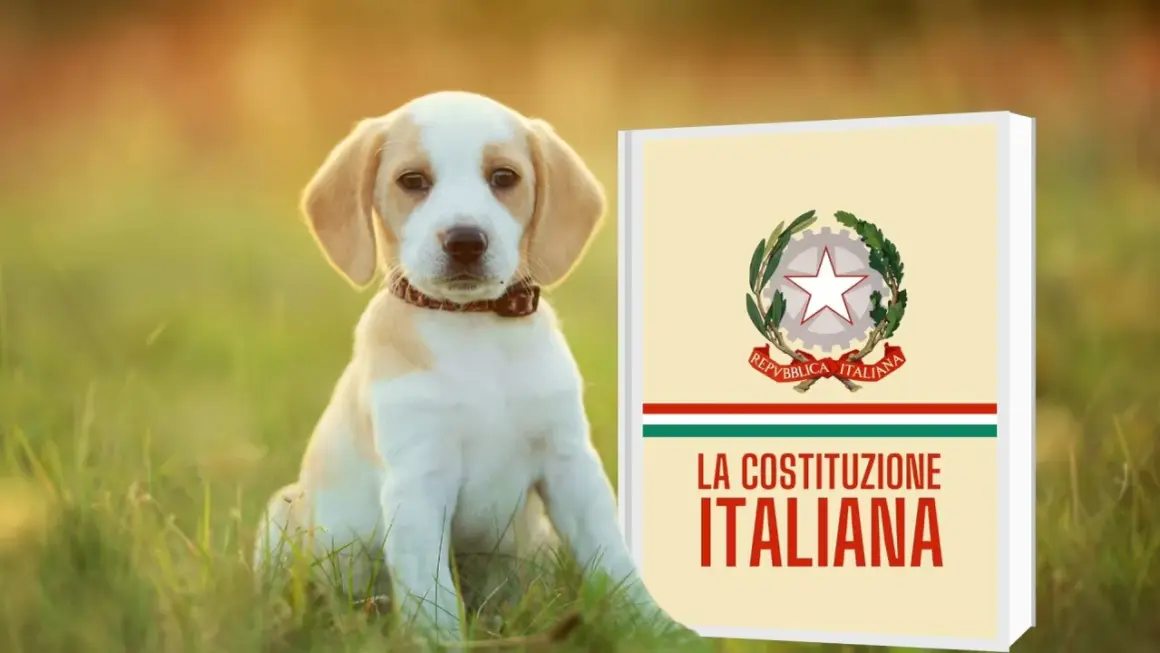 Un cucciolo di cane seduto sull'erba accanto a un libro intitolato "La Costituzione Italiana".