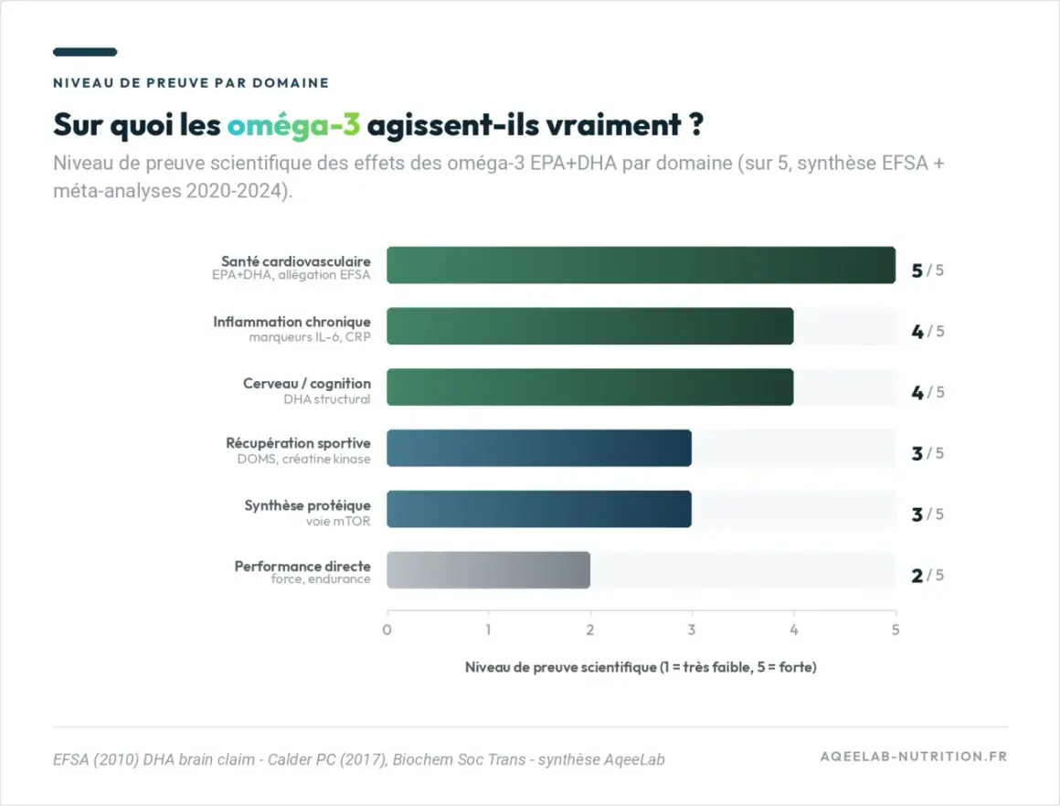 Les oméga-3 soutiennent la santé cardiovasculaire (5/5), l'inflammation chronique (4/5), le cerveau (4/5), la récupération sportive (3/5) et la synthèse protéique (3/5).