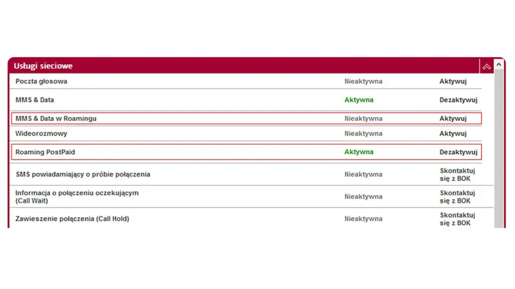 Czy w Czechach jest roaming? Kluczowe informacje, które musisz znać