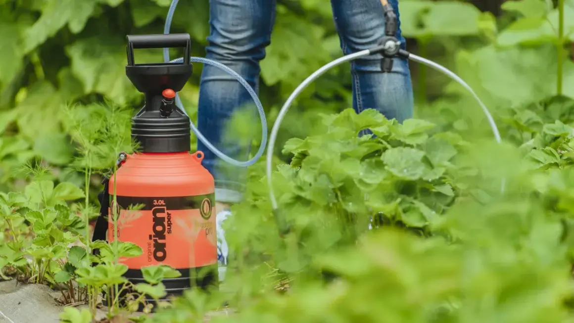 Pomarańczowy opryskiwacz w rękach osoby w dżinsach, w otoczeniu zielonych roślin.