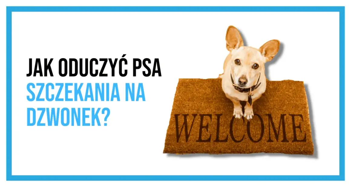 Mały piesek na wycieraczce "Welcome" sugeruje, że czas nauczyć go, by nie wymuszał szczekaniem na dzwonek.