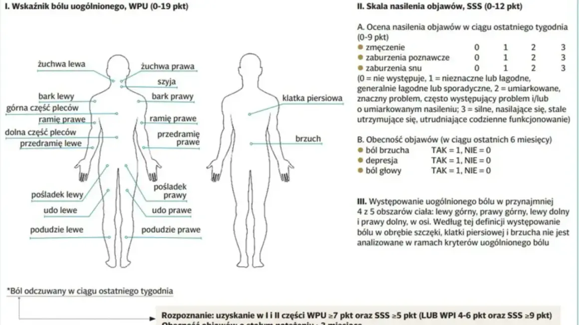 Schemat przedstawia lokalizację bólu w fibromialgii. Wskazuje obszary ciała, gdzie może występować ból, pomagając zrozumieć, co to jest fibromialgia.