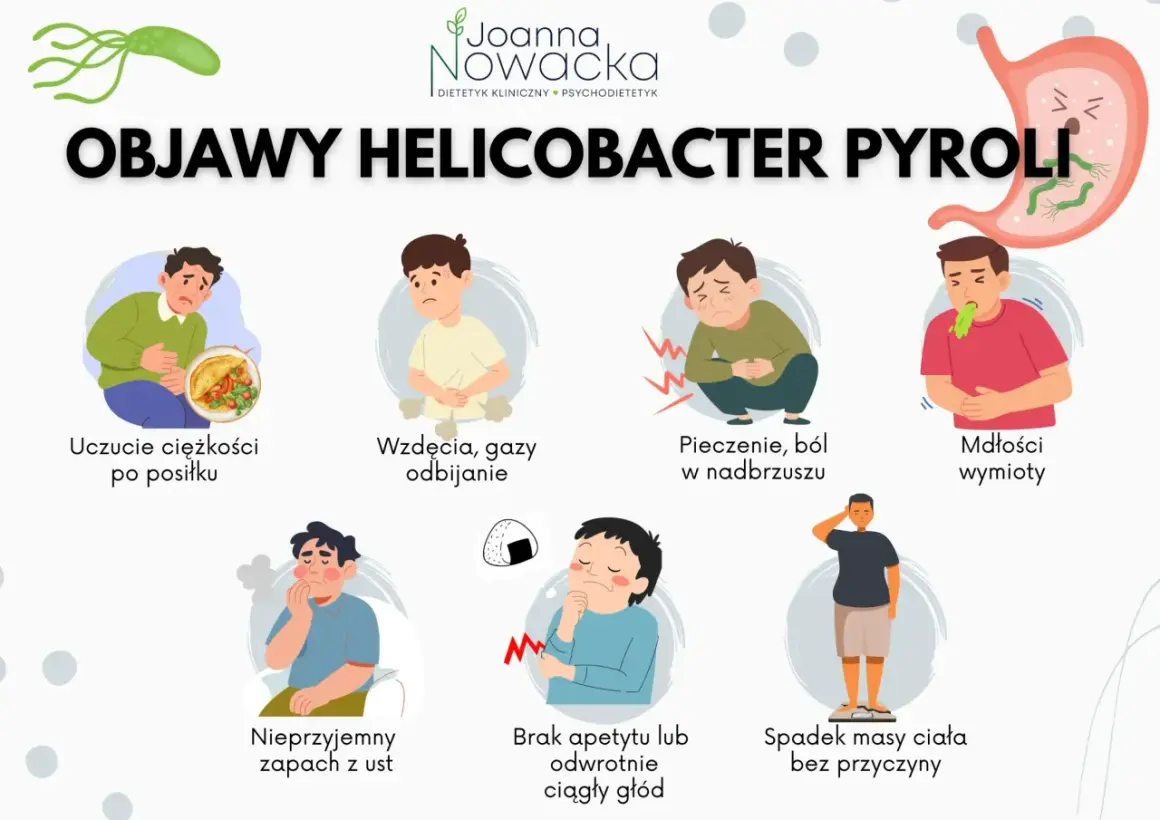 Grafika przedstawia objawy helicobacter pylori: uczucie ciężkości po posiłku, wzdęcia, pieczenie, mdłości, nieprzyjemny zapach z ust, brak apetytu lub głód, spadek masy ciała.