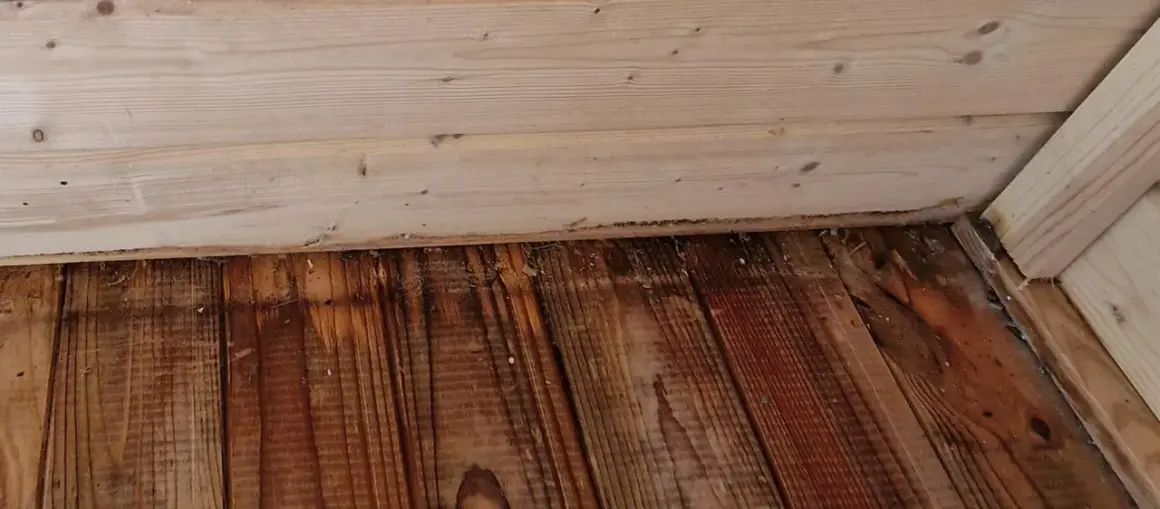 Plancher en bois avec des taches sombres, suggérant une méthode pour comment enlever l'odeur d'urine de chat sur du bois.