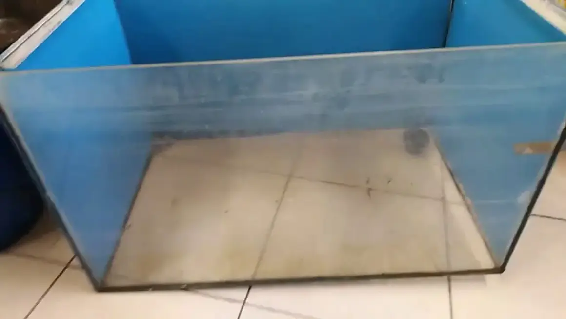 Jak skleić akwarium? Kompletny poradnik DIY i naprawa przecieków