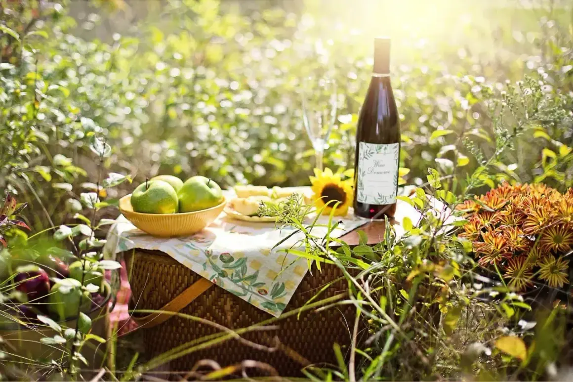 Piknik w słońcu: butelka wina, jabłka, ser i słonecznik. Czas na degustację domowego wina, które przeszło proces fermentacji.