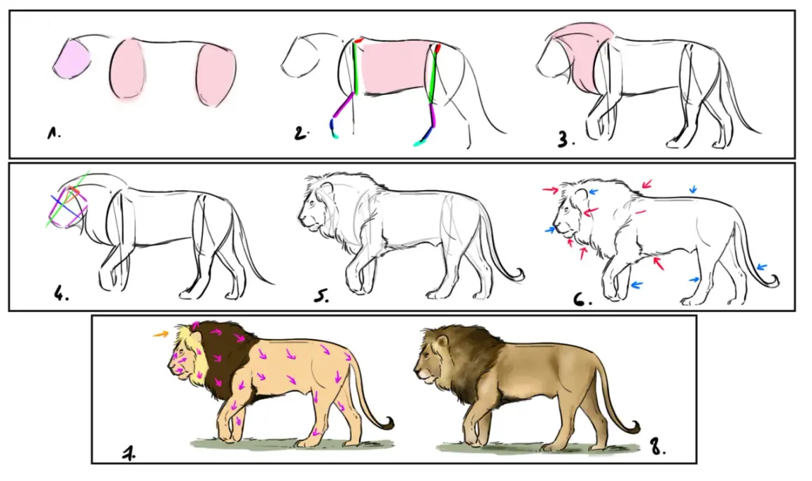 Secuencia de pasos para un dibujo de león, desde bocetos básicos hasta un león detallado.