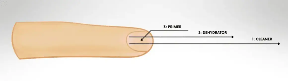 Schemat aplikacji produktów do paznokci: cleaner, dehydrator, primer.