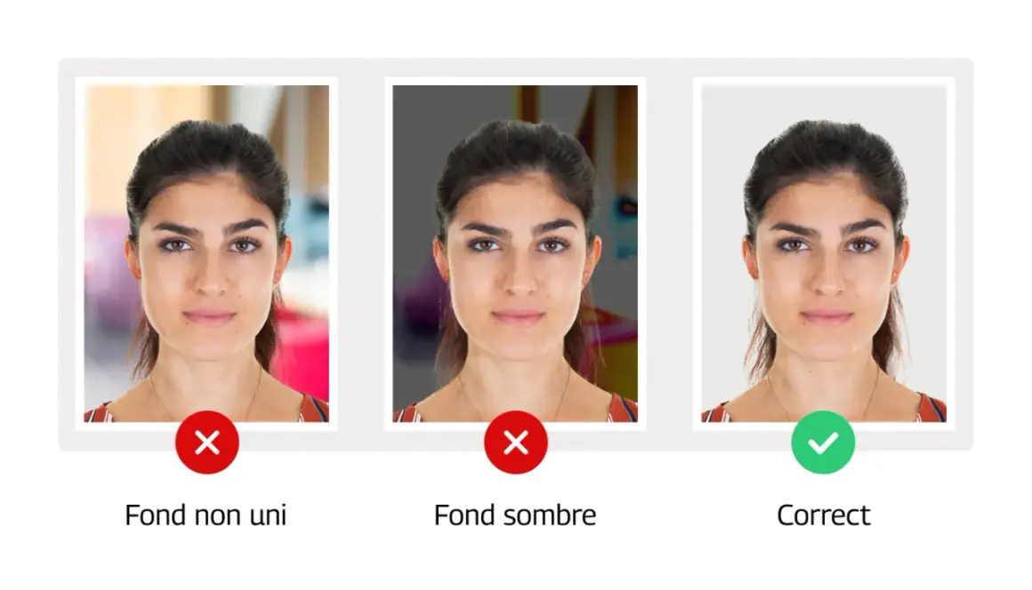 Photo de permis de conduire : fond uni et éclairage correct pour une photo d'identité réussie.