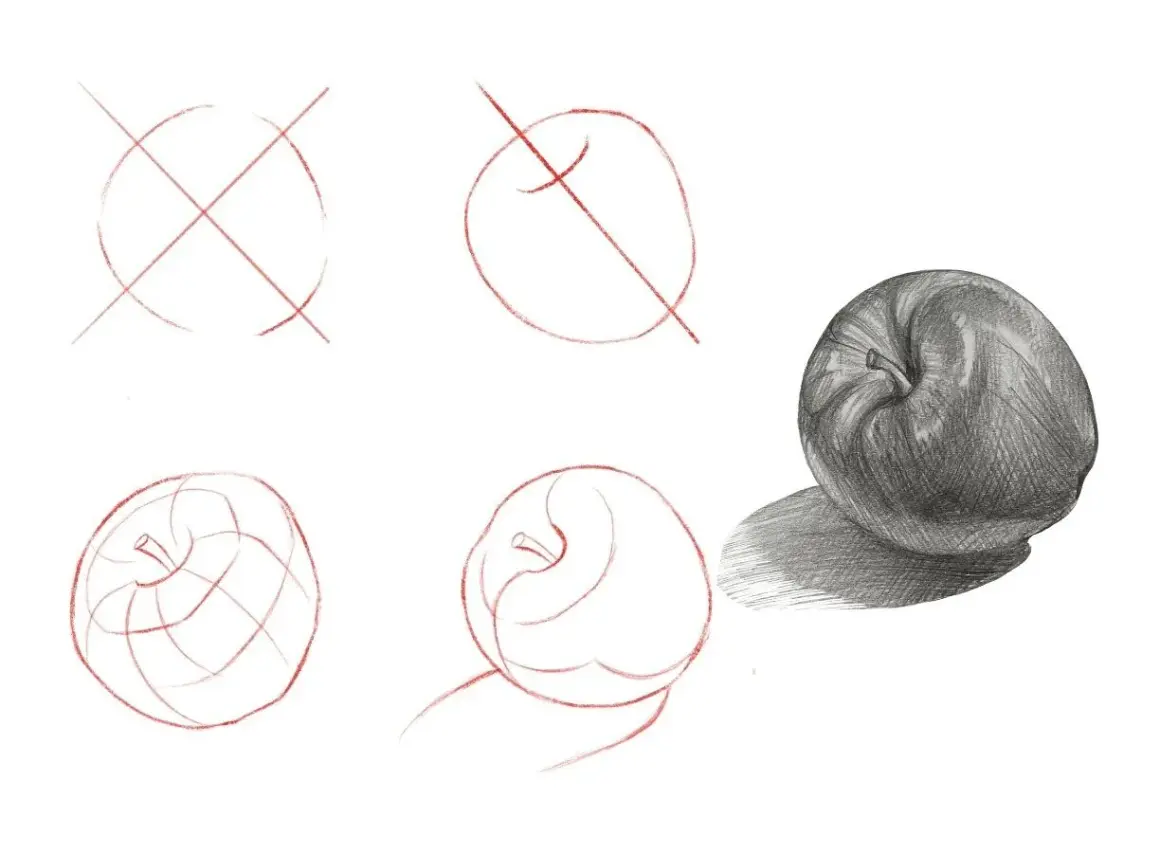 Ilustración de dibujos paso a paso de una manzana, desde bocetos iniciales hasta un dibujo sombreado realista.