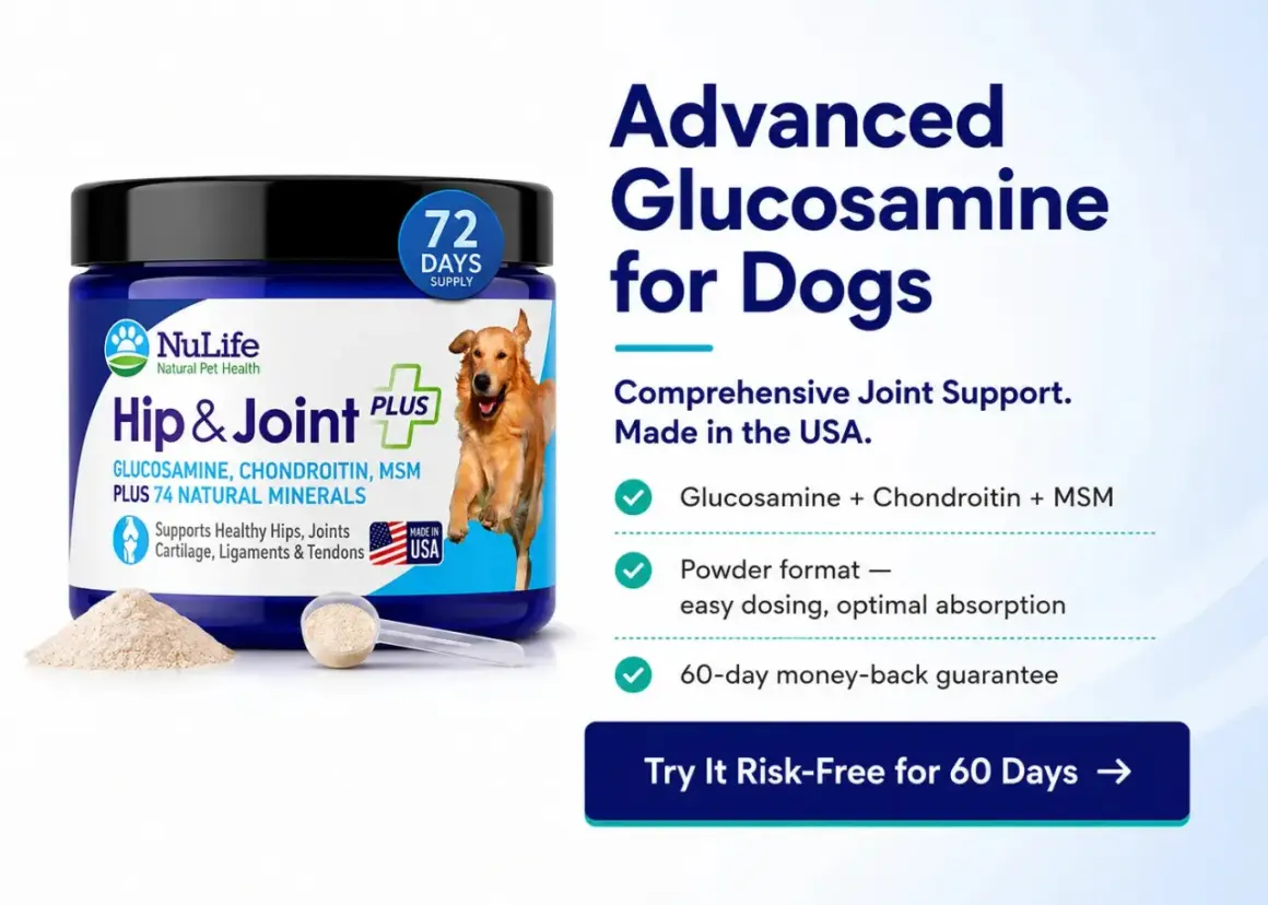 Supplément pour chiens NuLife Hip & Joint Plus. Aide à la mobilité, sans effets secondaires connus. Glucosamine, chondroïtine, MSM.