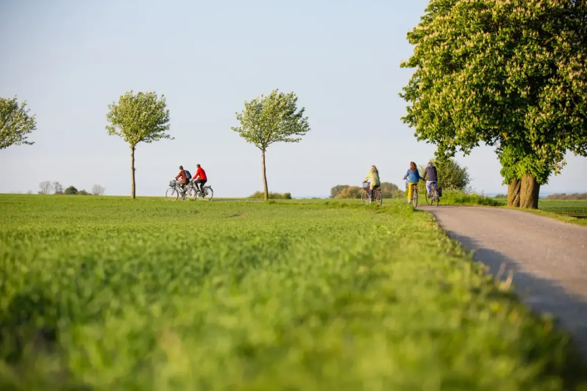 Cykeltur genom Skånes gröna landskap, perfekt för en vistelse på ett vandrarhem Skåne.