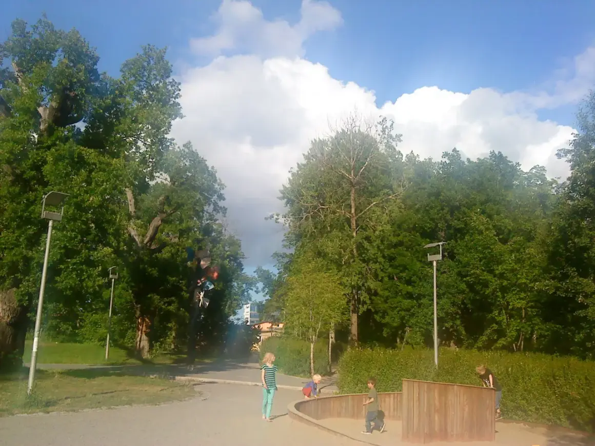Barn leker i fruktparken Liljeholmen bland gröna träd och en blå himmel med moln.