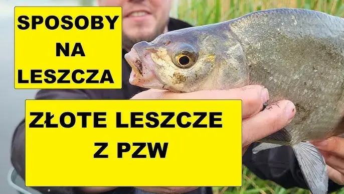 Najlepsze przynęty na leszcza, które zwiększą Twoje szanse na sukces