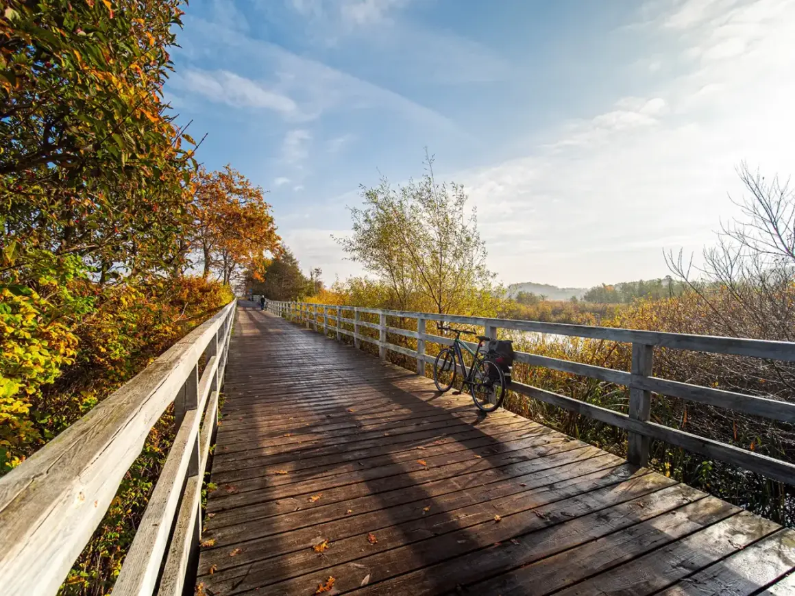 Drewniany mostek na trasie Euro Velo, z rowerem czekającym na podróż przez jesienne krajobrazy.