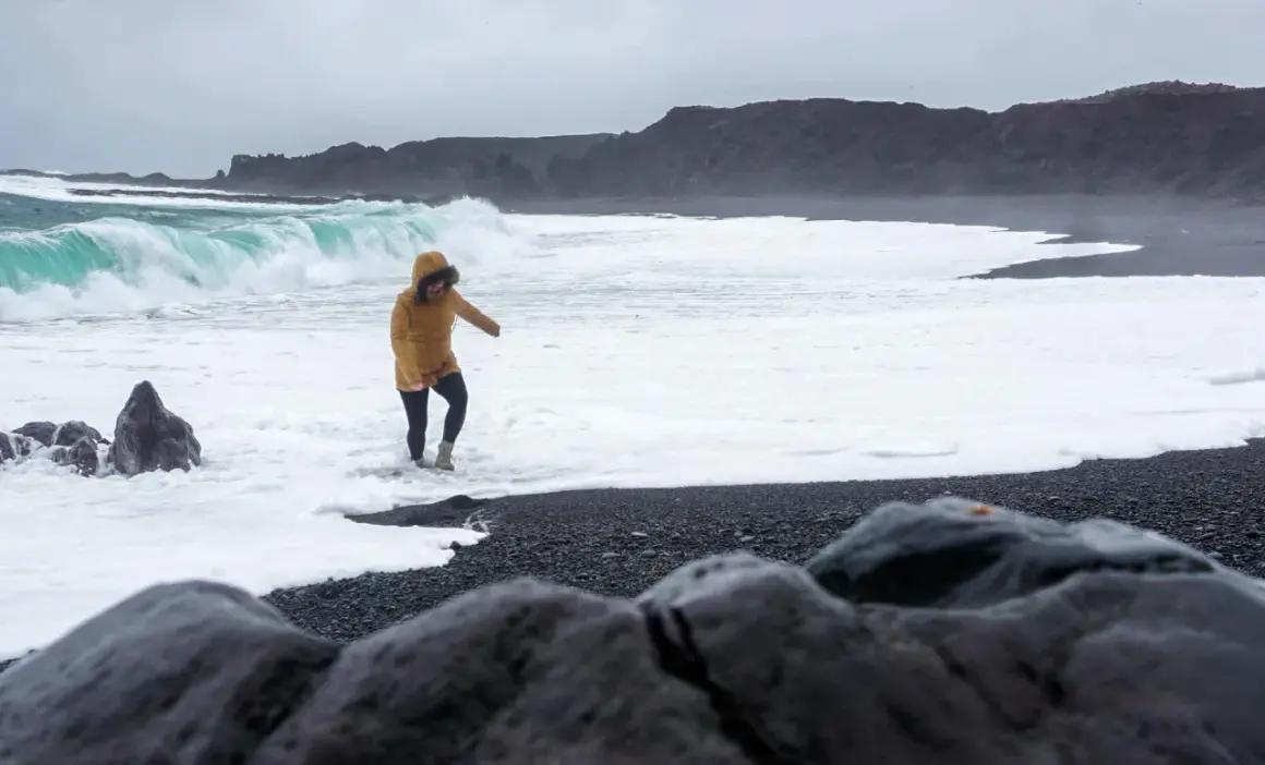 Kobieta w żółtej kurtce brodzi w pianie na czarnej plaży Reynisfjara, podczas gdy potężne fale rozbijają się o brzeg.