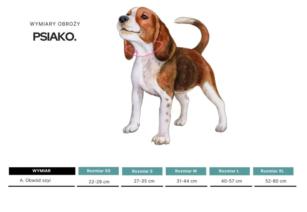 Ilustracja beagla z różową obrożą, pokazująca jak zmierzyć psa w kłębie. Tabela rozmiarów obroży.