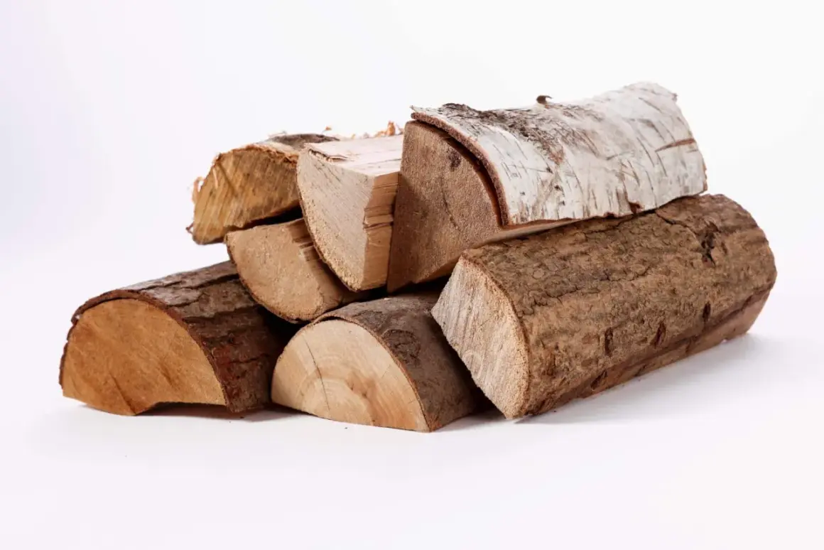 Un tas de **charbon de bois** empilé, prêt pour un feu de camp réconfortant.