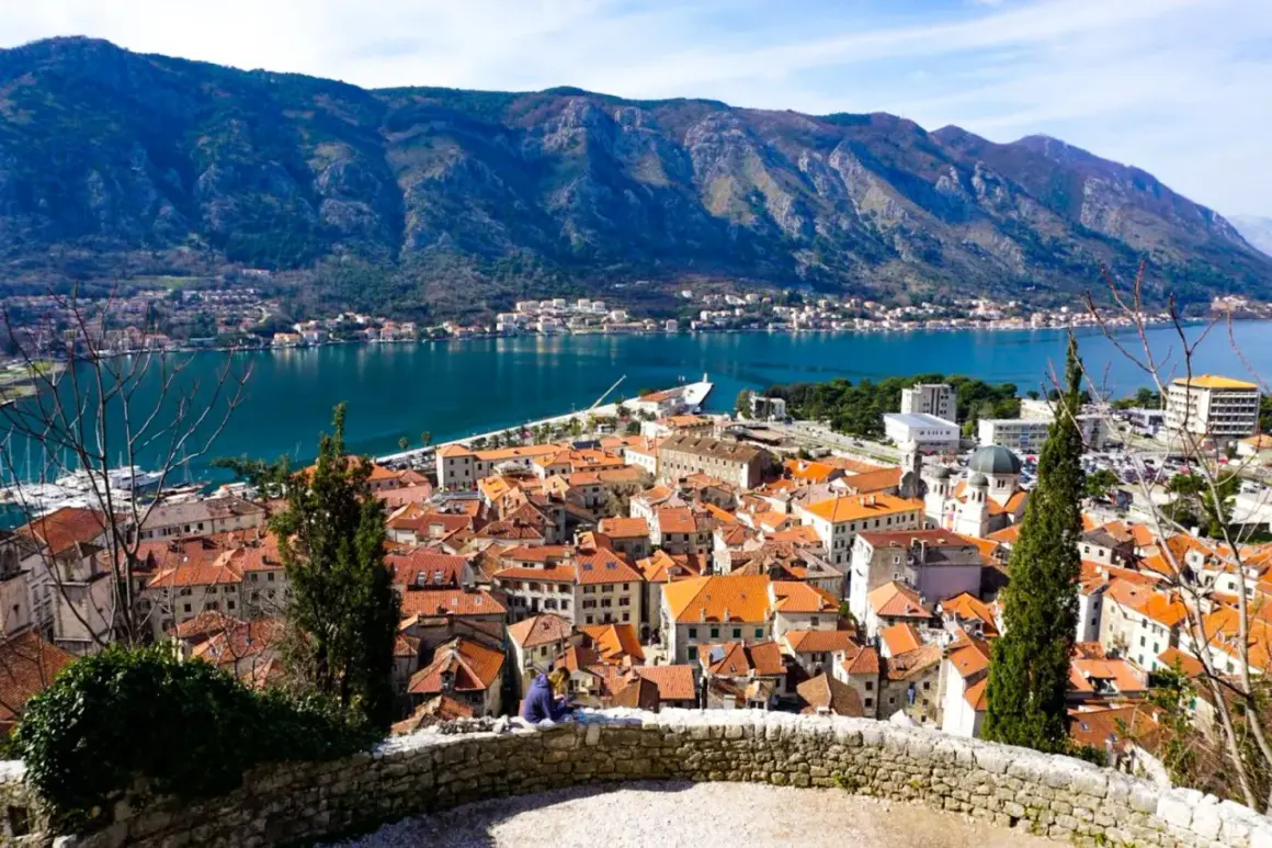 Widok na kotor stare miasto z czerwonymi dachami, zatokę i góry w tle.