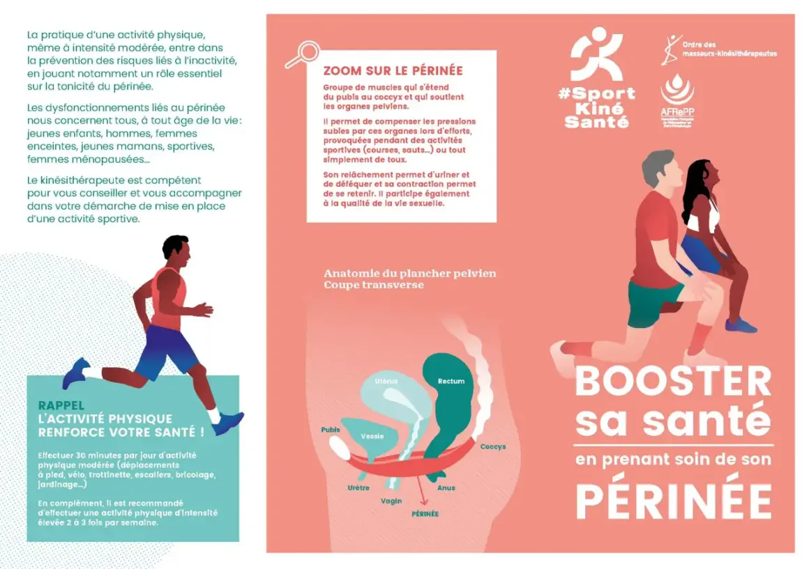 Rééducation périnéale homme après opération prostate : le sport renforce votre santé. Kiné et périnée pour tous.