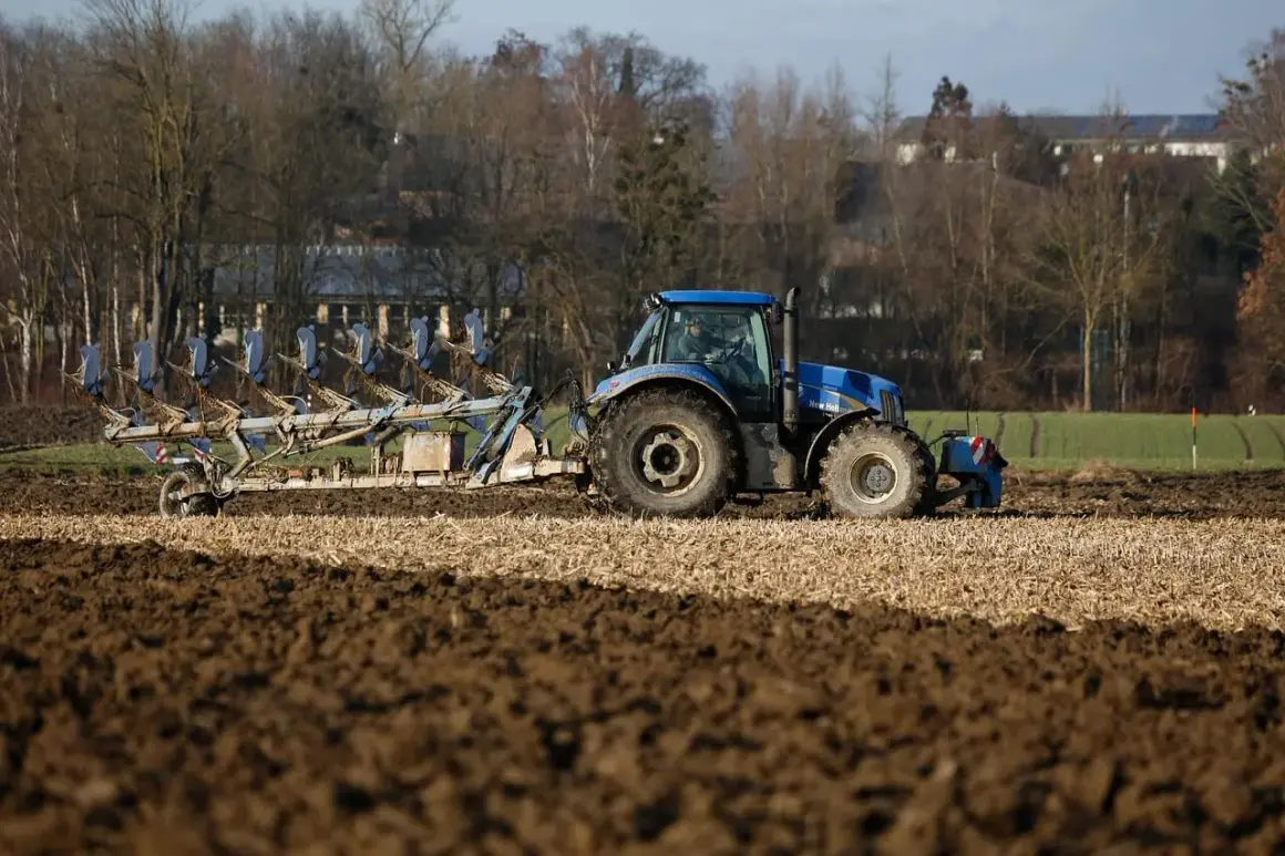 Niebieski traktor z pługiem orze pole. Rolnik przygotowuje ziemię, zastanawiając się, do kiedy można orać pole arimr.