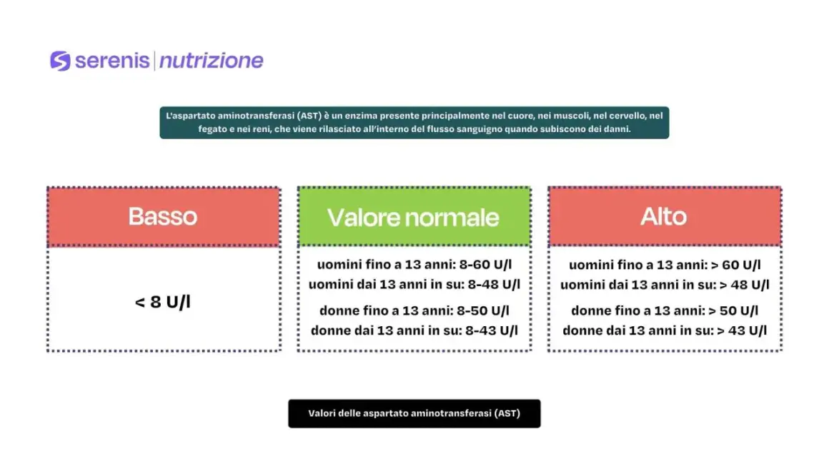 Valori AST (aspartato aminotransferasi) negli esami del sangue: basso (<8 U/I), normale (range specifici per età e sesso) e alto (> range normali).