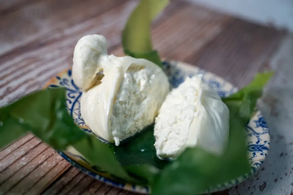 Due burrate fresche su un piatto decorato, un assaggio della loro autentica burrata origine.