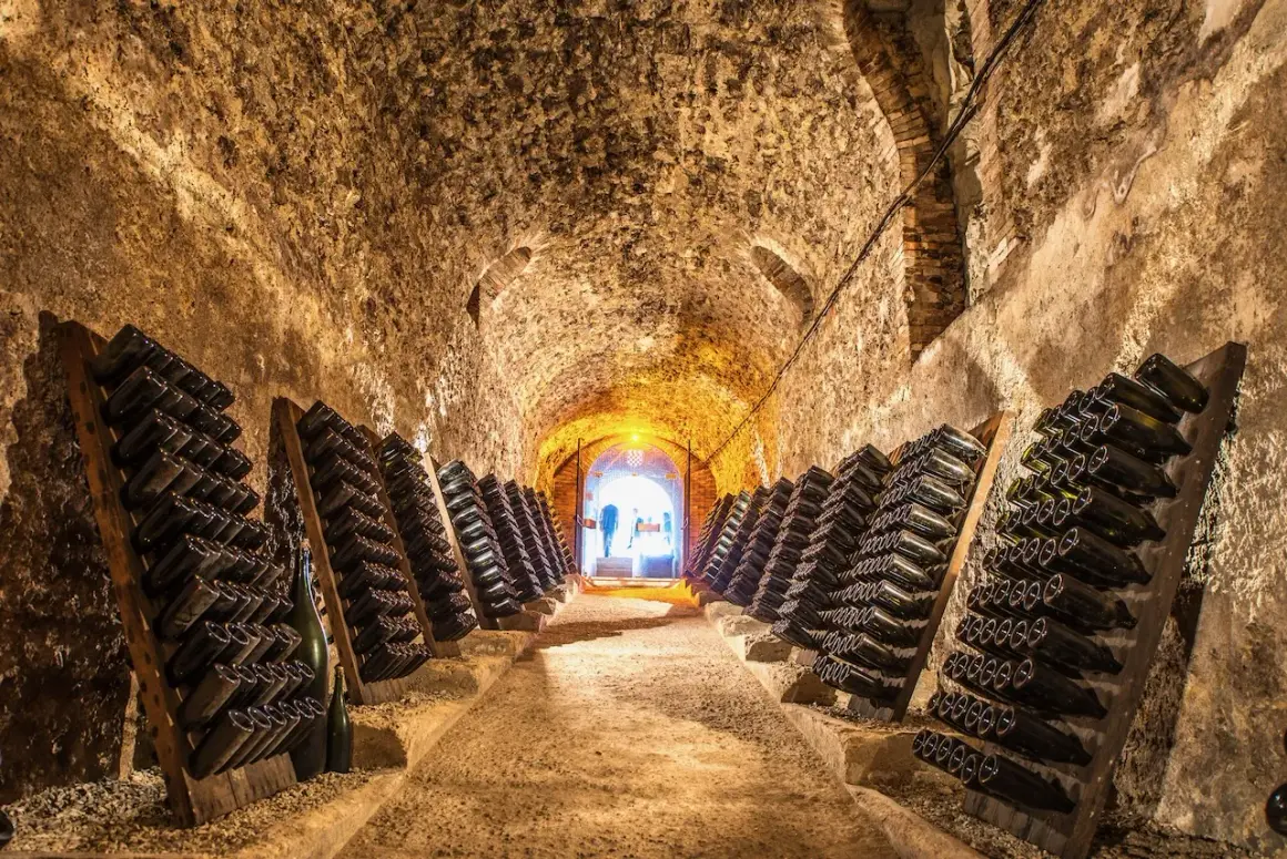 Dans cette cave à vin, des rangées de bouteilles de champagne reposent sur des pupitres. La question "peut on mettre du champagne dans une cave à vin" trouve ici sa réponse.
