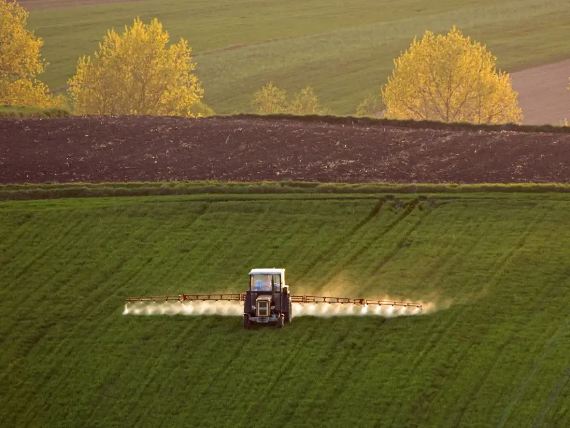 Traktor wykonuje oprysk na zielonym polu. W tle widać zaoraną ziemię i żółte drzewa.