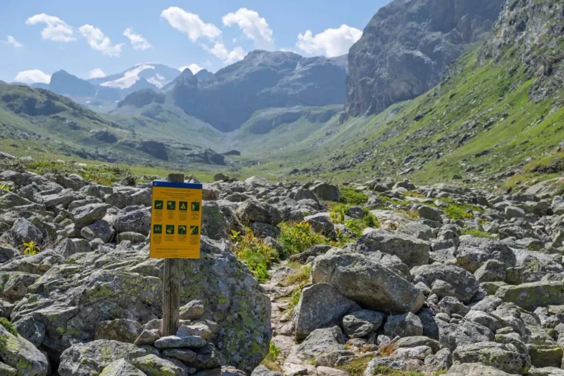 Panneau d'information dans le parc de la Vanoise, rappelant les règles pour les visiteurs, y compris la gestion du chien. Paysage montagneux rocailleux.