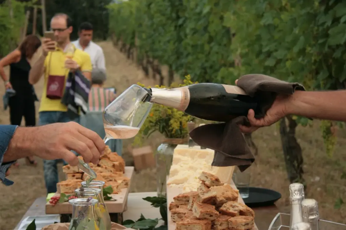 Un brindisi nel Val Tidone: bollicine versate in un calice, circondate da focaccia e formaggio, con vigneti sullo sfondo.