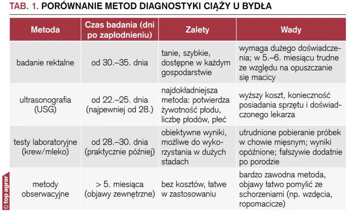 Jak obliczyć wiek ciąży? Poznaj metody i wybierz najdokładniejszą!