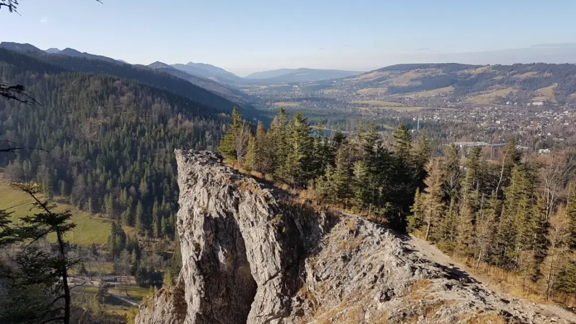 Widok z Nosala, góry samobójców, na Tatry i Zakopane. Skalisty szczyt, las i dolina.