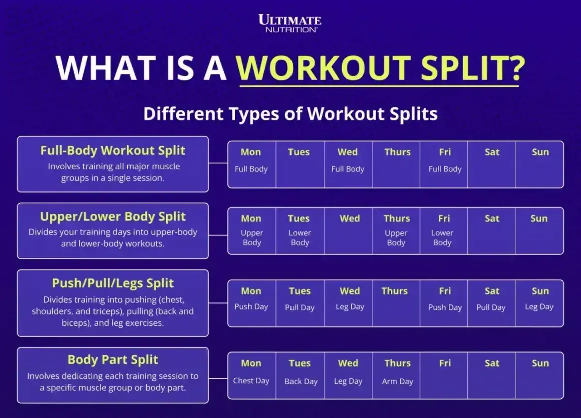 Plan treningowy Push/Pull/Legs dzieli ćwiczenia na pchanie, przyciąganie i nogi.