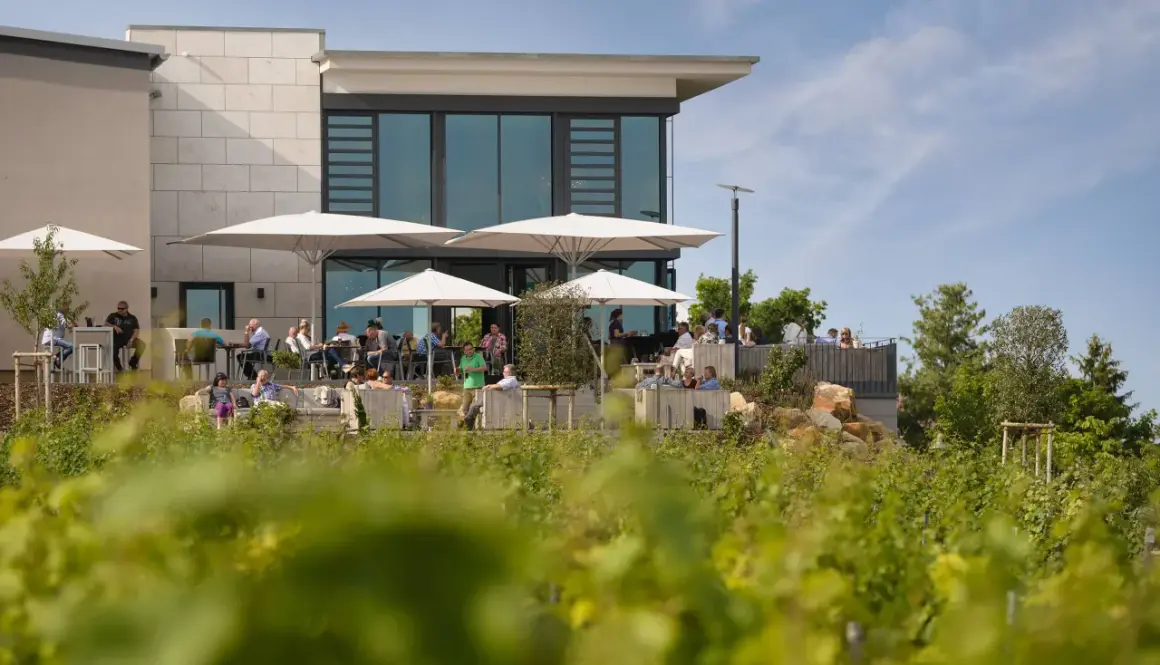 Winzergenossenschaft Herxheim: Weine, Vinothek & Events entdecken
