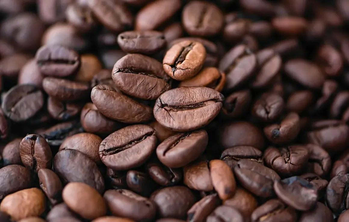 Chicchi di caffè qualità arabica tostati, un primo piano che evoca profumo e gusto intenso.