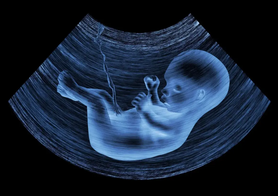 USG płodu, czyli badanie ultrasonograficzne, pokazuje rozwijające się dziecko.