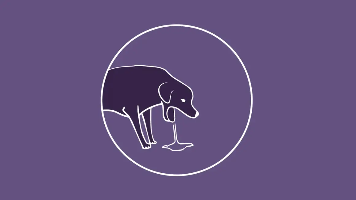 Ilustración de un perro con un líquido saliendo de su boca, representando el reflujo en perros.
