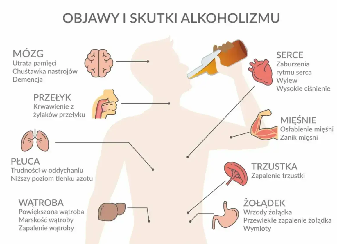 Ilustracja pokazuje skutki nadużywania alkoholu: ból wątroby po alkoholu, problemy z sercem, żołądkiem i innymi organami.