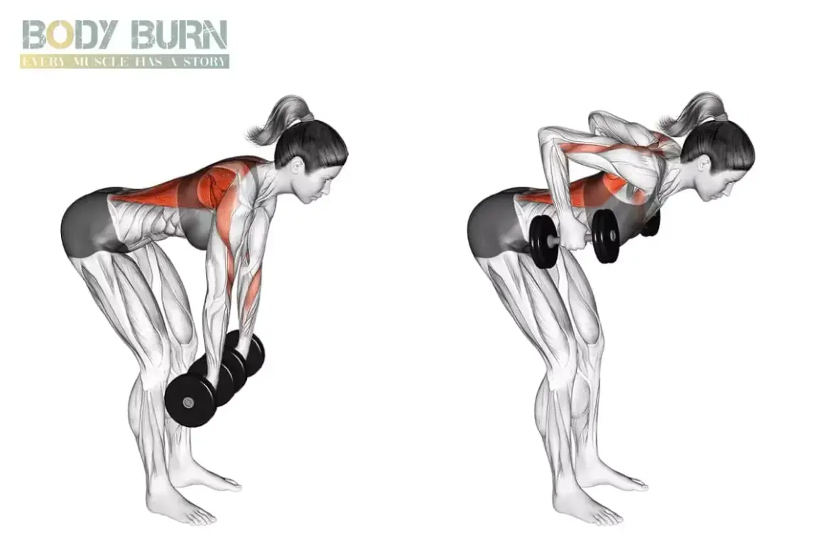 Femme effectuant un rowing haltère, montrant l'activation musculaire du dos et des bras.