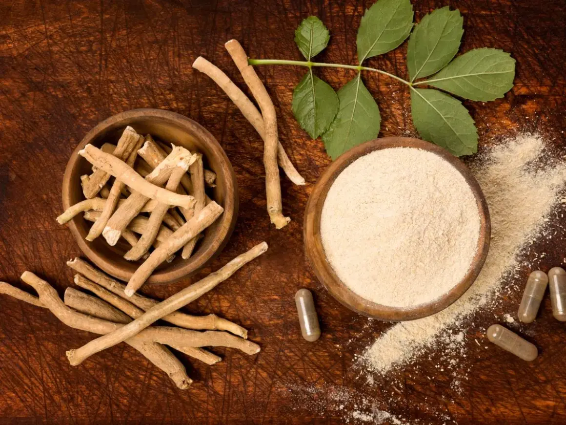 Korzeń i proszek z ashwagandhy, znanej jako adaptogen. Obok kapsułki i liście rośliny.