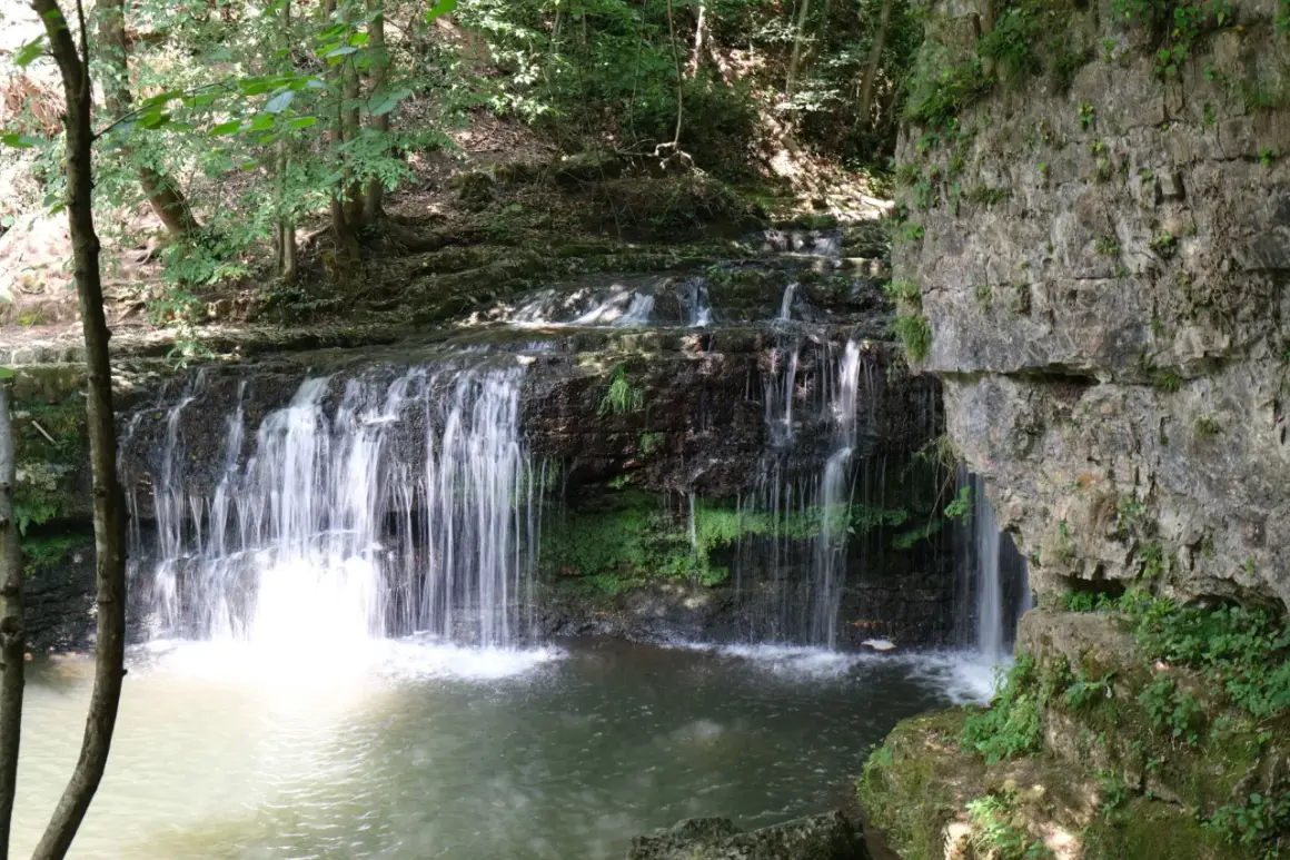 Cascate del Golfarone: un'oasi di pace dove l'acqua scende tra rocce e vegetazione rigogliosa, creando un paesaggio incantevole.
