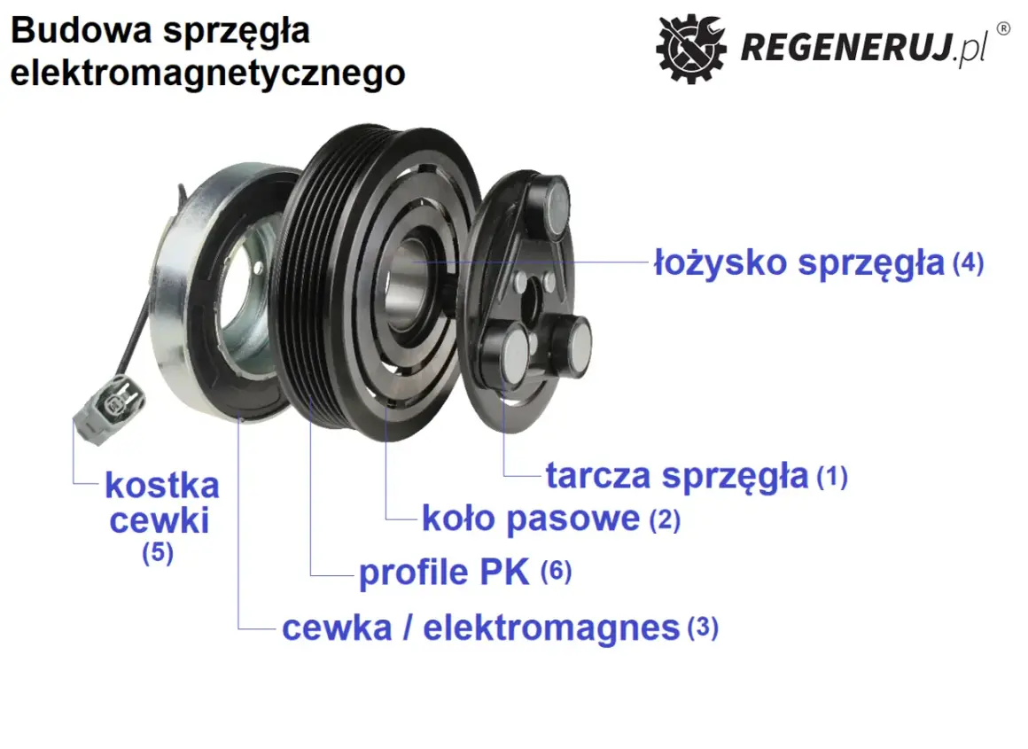 Rozłożone sprzęgło klimatyzacji: koło pasowe, tarcza, cewka/elektromagnes, łożysko. Często hałasujące sprzęgło klimatyzacji wymaga regeneracji.