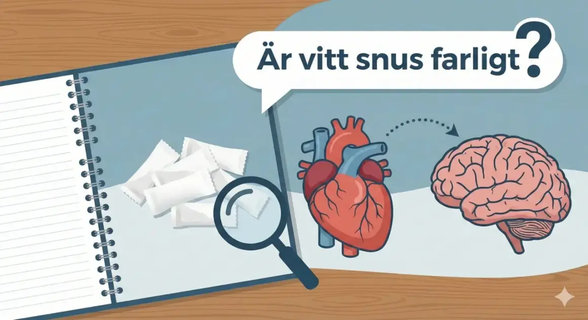 En anteckningsbok visar vitt snus, ett hjärta och en hjärna. Frågan "Är vitt snus farligt?" ställs, med pilar som indikerar en koppling mellan hjärtat och hjärnan.