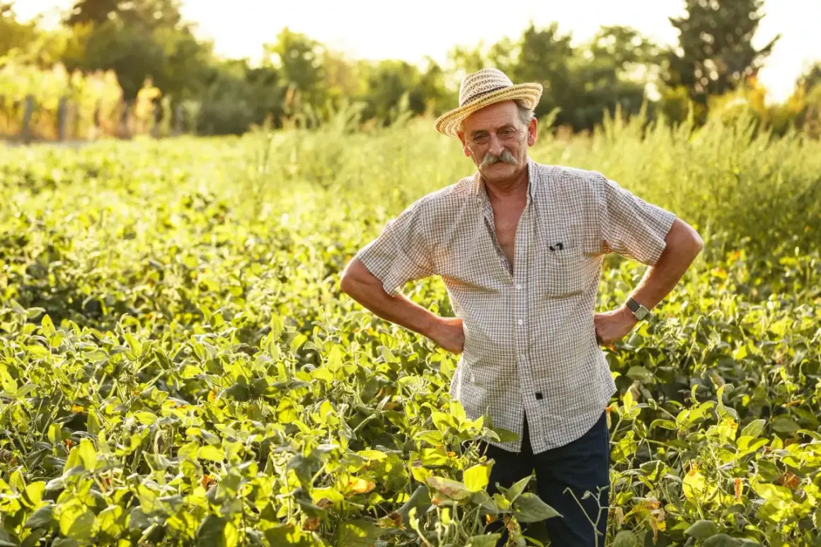 Rolnik w słomkowym kapeluszu stoi na polu soi. Zastanawia się, jak **renta chorobowa KRUS a posiadanie ziemi** wpłynie na jego przyszłość.