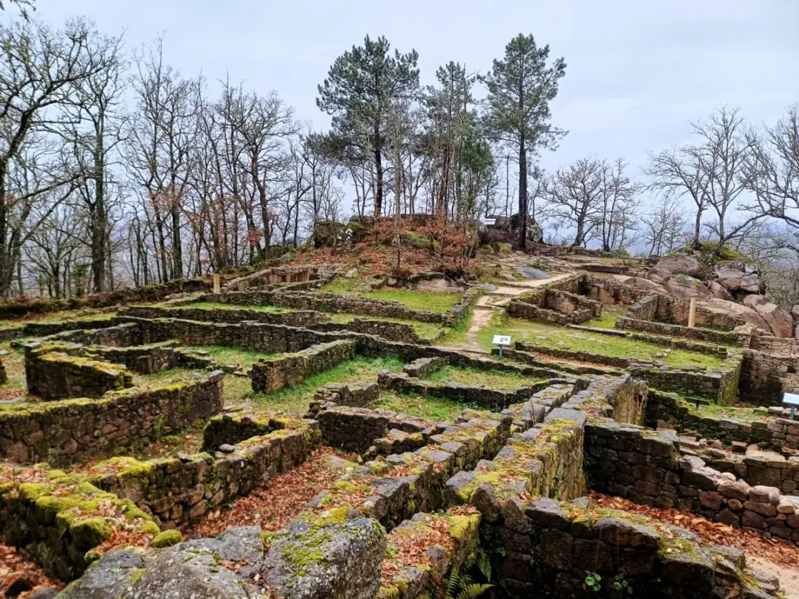 Ruinas de **Santa Mariña de Augas Santas**, con muros de piedra cubiertos de musgo y hojas secas, rodeadas de árboles desnudos bajo un cielo nublado.