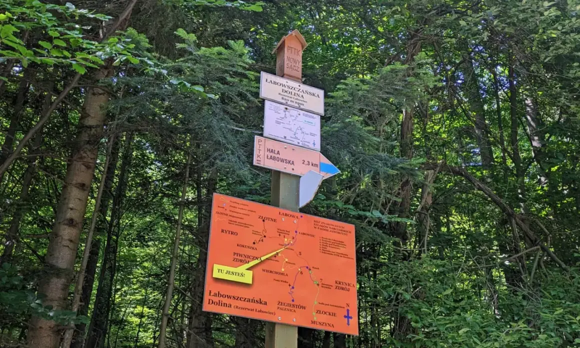 Tablica z drogowskazami w lesie. Wskazuje drogę do Hali Łabowskiej (2,3 km) i Doliny Łabowszczańskiej. Mapa szlaków turystycznych.