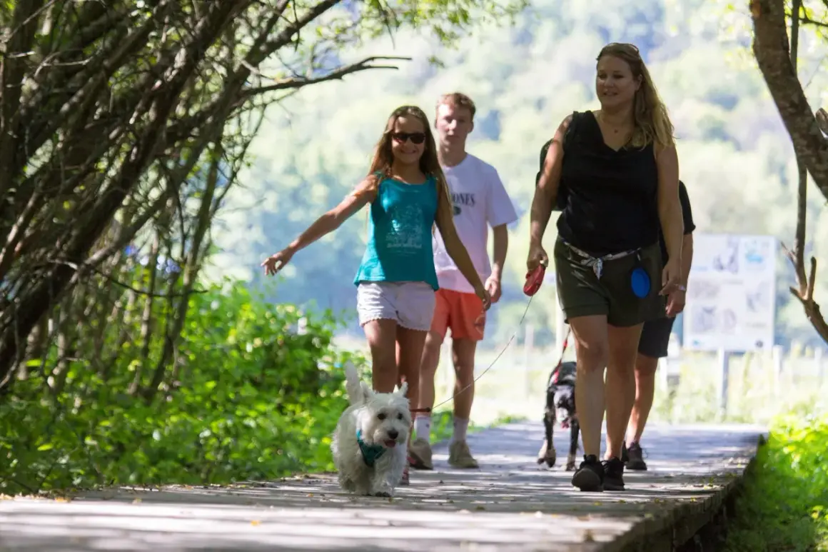 Une famille profite d'une promenade avec son puy de Sancy chien sur un sentier en bois, entourée de verdure.