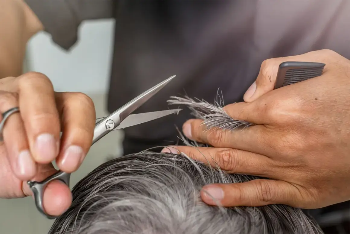 Friseur schneidet kurz grau lila Haare.